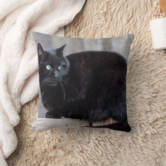黒猫 クッション (ブランケット)
