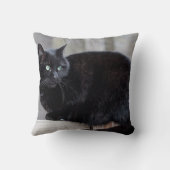 黒猫 クッション (裏面)