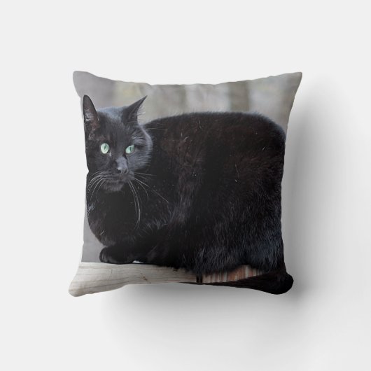 黒猫 クッション (裏面)