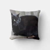 黒猫 クッション (正面)