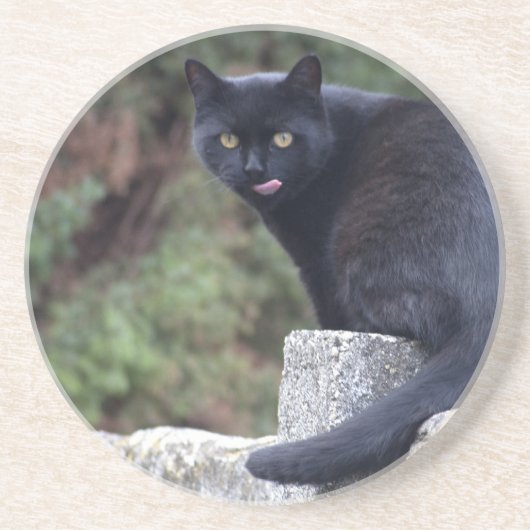 黒猫 コースター (正面)