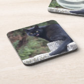 黒猫 コースター (左側)