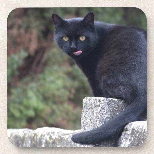 黒猫 コースター (正面)