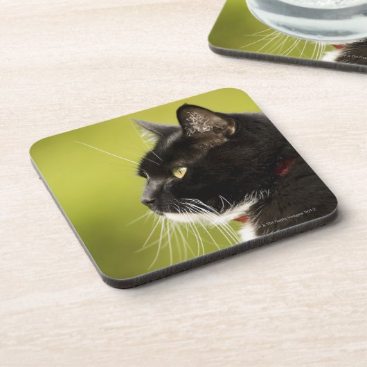 黒猫 コースター (左側)