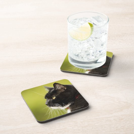 黒猫 コースター (右側)