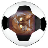 黒猫 サッカーボール (回転)