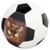 黒猫 サッカーボール (3/4)