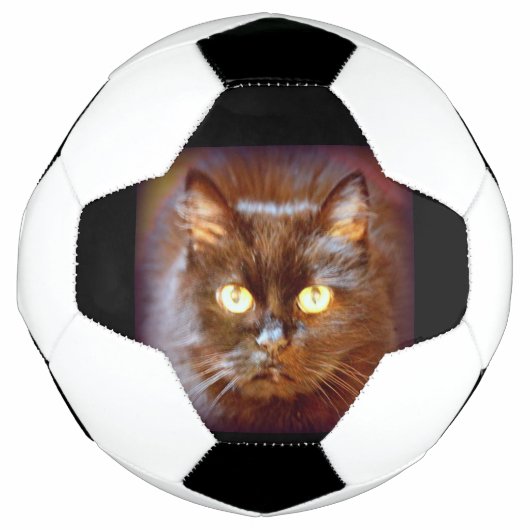 黒猫 サッカーボール (正面)