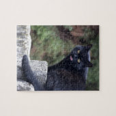黒猫 ジグソーパズル (横)