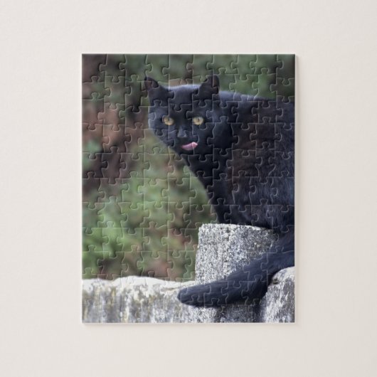 黒猫 ジグソーパズル (縦)