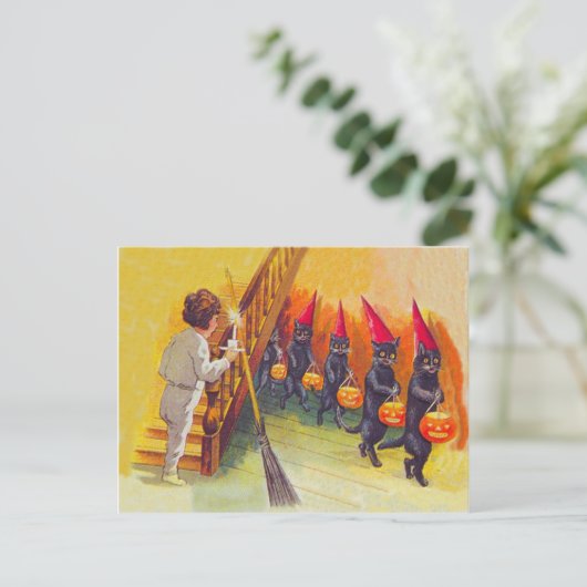 黒猫 ジャック・オ・ランタン かぼちゃ ほうき ポストカード (スタンド正面)