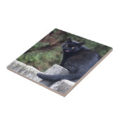 黒猫 タイル (側面)