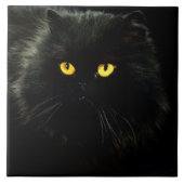 黒猫 タイル (正面)