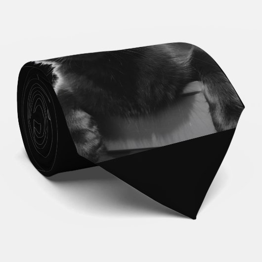 黒猫 ネクタイ (ロール)
