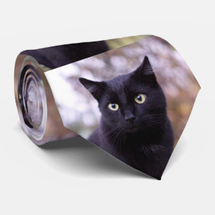 黒猫 ネクタイ