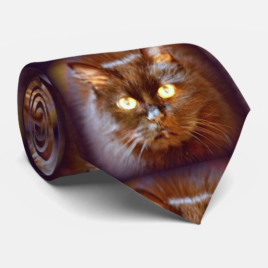 黒猫 ネクタイ (ロール)
