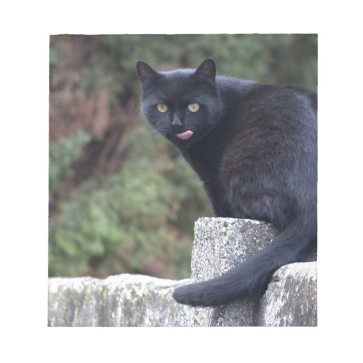 黒猫 ノートパッド (正面)