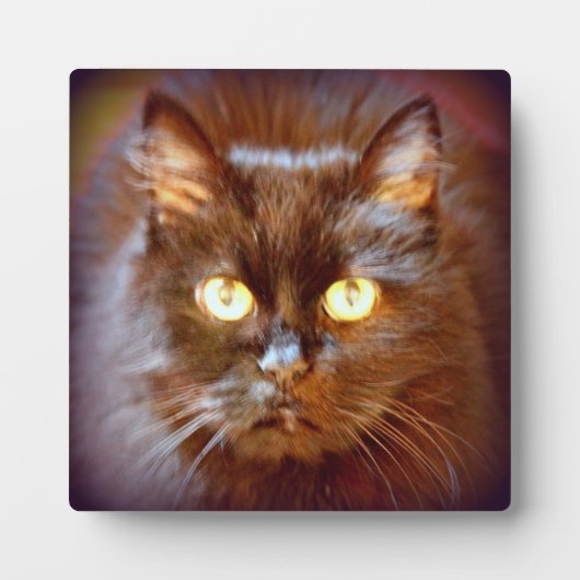 黒猫 フォトプラーク (正面)