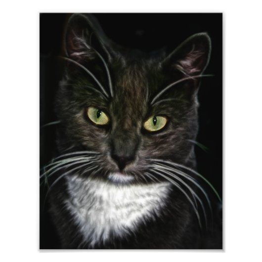 黒猫 フォトプリント            (正面)