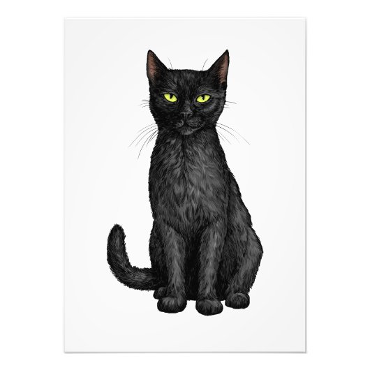 黒猫 フォトプリント            (正面)