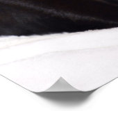 黒猫 ポスター (角)