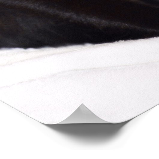 黒猫 ポスター (角)