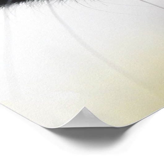 黒猫 ポスター (角)