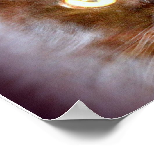 黒猫 ポスター (角)