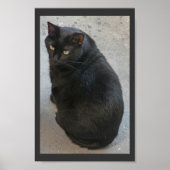 黒猫 ポスター (正面)