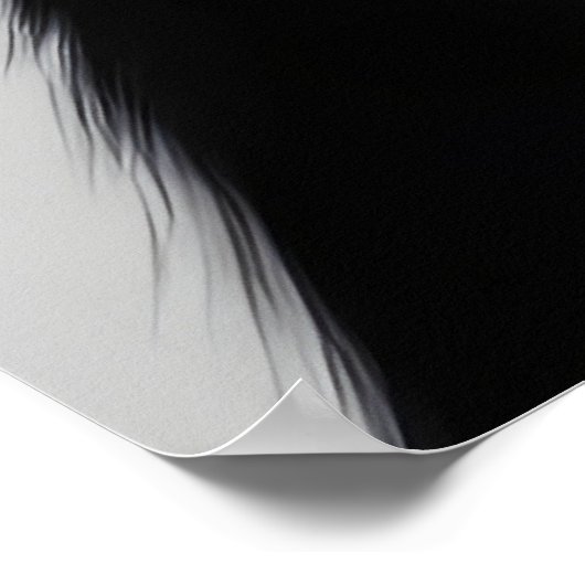 黒猫 ポスター (角)