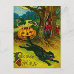 黒猫 ポストカード