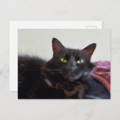 黒猫 ポストカード (正面/裏面)