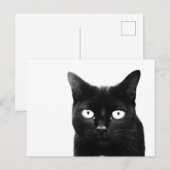 黒猫 ポストカード (正面/裏面)