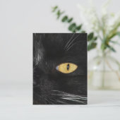 黒猫 ポストカード (スタンド正面)