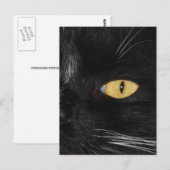 黒猫 ポストカード (正面/裏面)