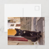 黒猫 ポストカード (正面/裏面)