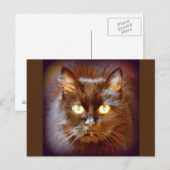 黒猫 ポストカード (正面/裏面)