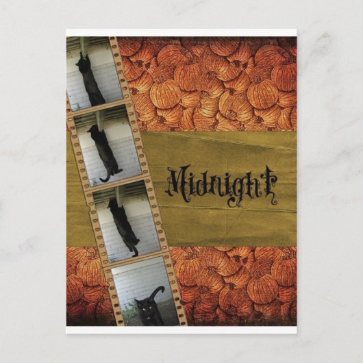 黒猫 ポストカード (正面)