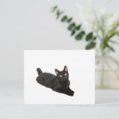 黒猫 ポストカード (スタンド正面)