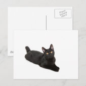 黒猫 ポストカード (正面/裏面)