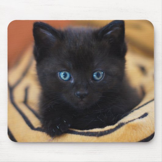 黒猫 マウスパッド (正面)