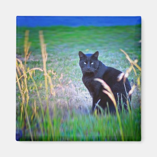 黒猫 マグネット (正面)