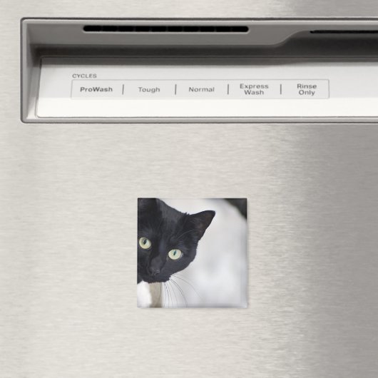 黒猫 マグネット (インサイチュ (食洗機))