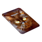 黒猫 マグネット (右側)