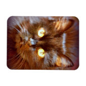黒猫 マグネット (横)
