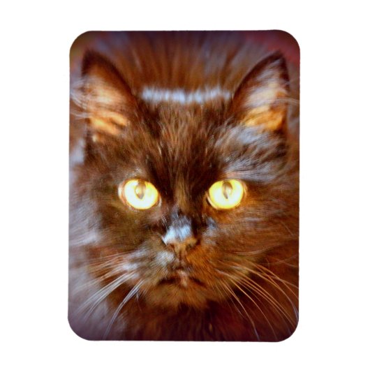 黒猫 マグネット (縦)