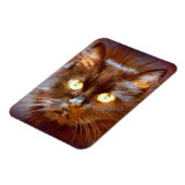 黒猫 マグネット (左側)