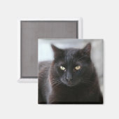 黒猫 マグネット (正面/裏面)