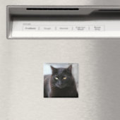 黒猫 マグネット (インサイチュ (食洗機))