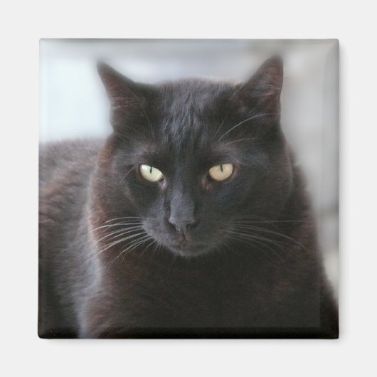 黒猫 マグネット (正面)